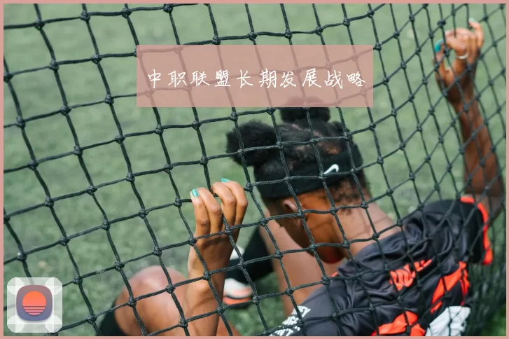 中职联盟长期发展战略