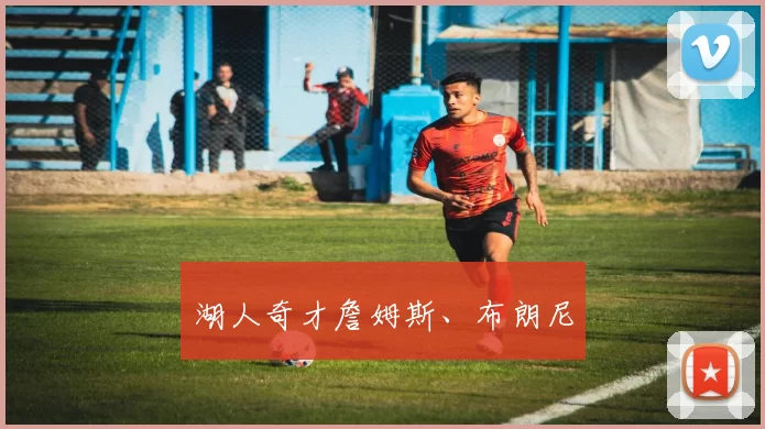 湖人奇才詹姆斯、布朗尼