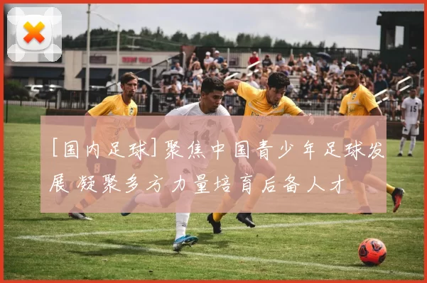 [国内足球]聚焦中国青少年足球发展 凝聚多方力量培育后备人才