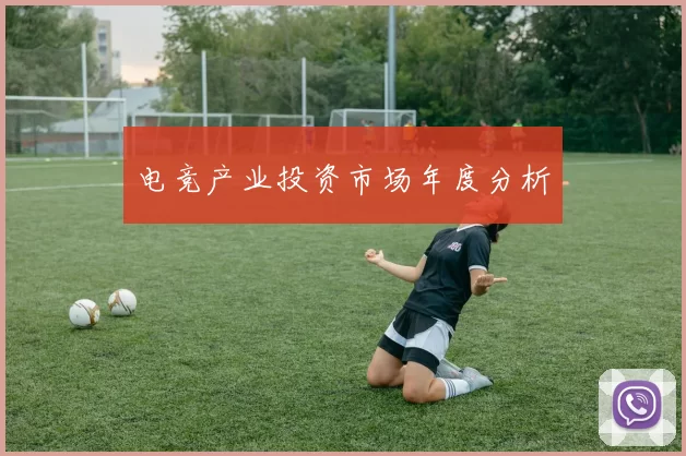 电竞产业投资市场年度分析