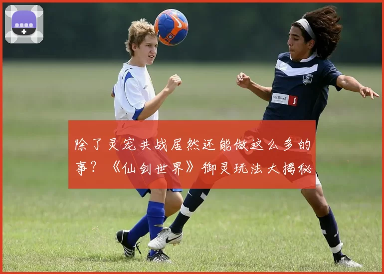 除了灵宠共战居然还能做这么多的事？《仙剑世界》御灵玩法大揭秘！